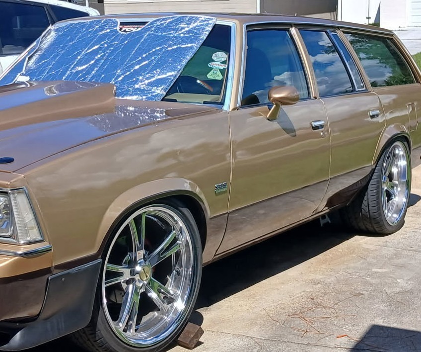 Chevrolet-Malibu-1979-26