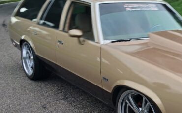 Chevrolet-Malibu-1979-27