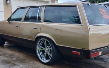 Chevrolet-Malibu-1979-28