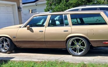 Chevrolet-Malibu-1979-30