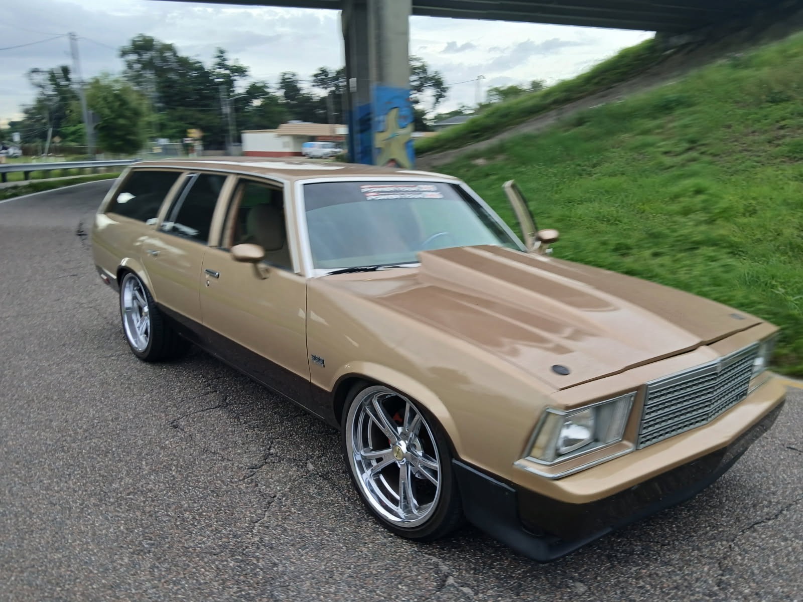 Chevrolet-Malibu-1979-33