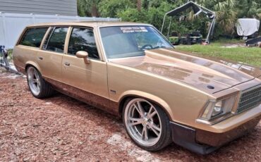 Chevrolet-Malibu-1979-4