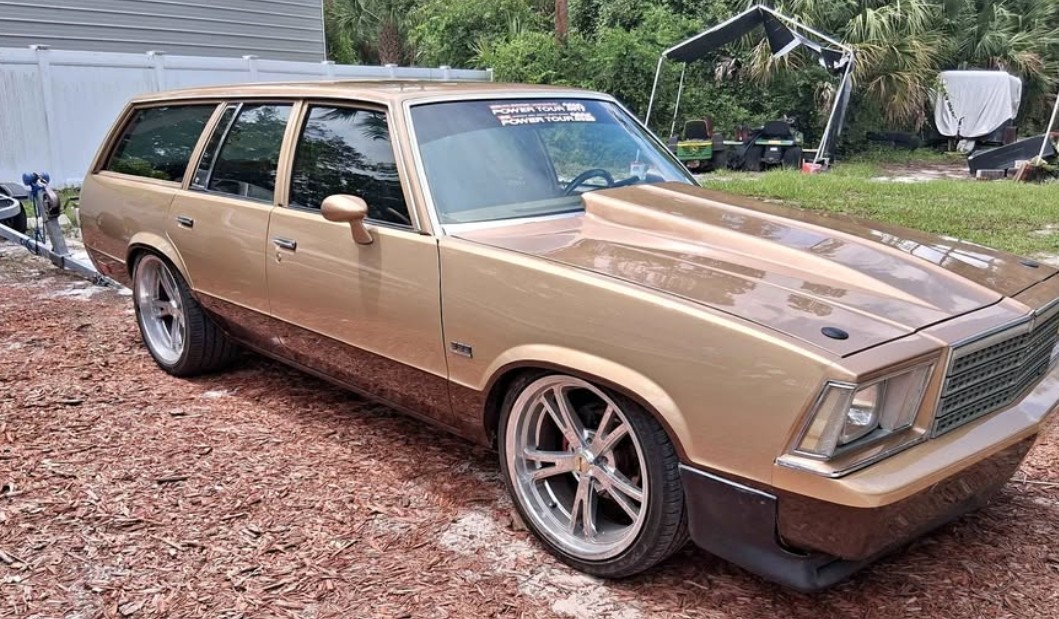 Chevrolet-Malibu-1979-4