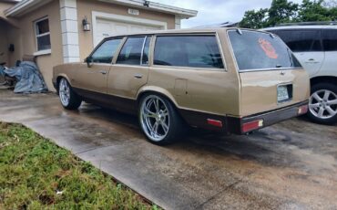 Chevrolet-Malibu-1979-5