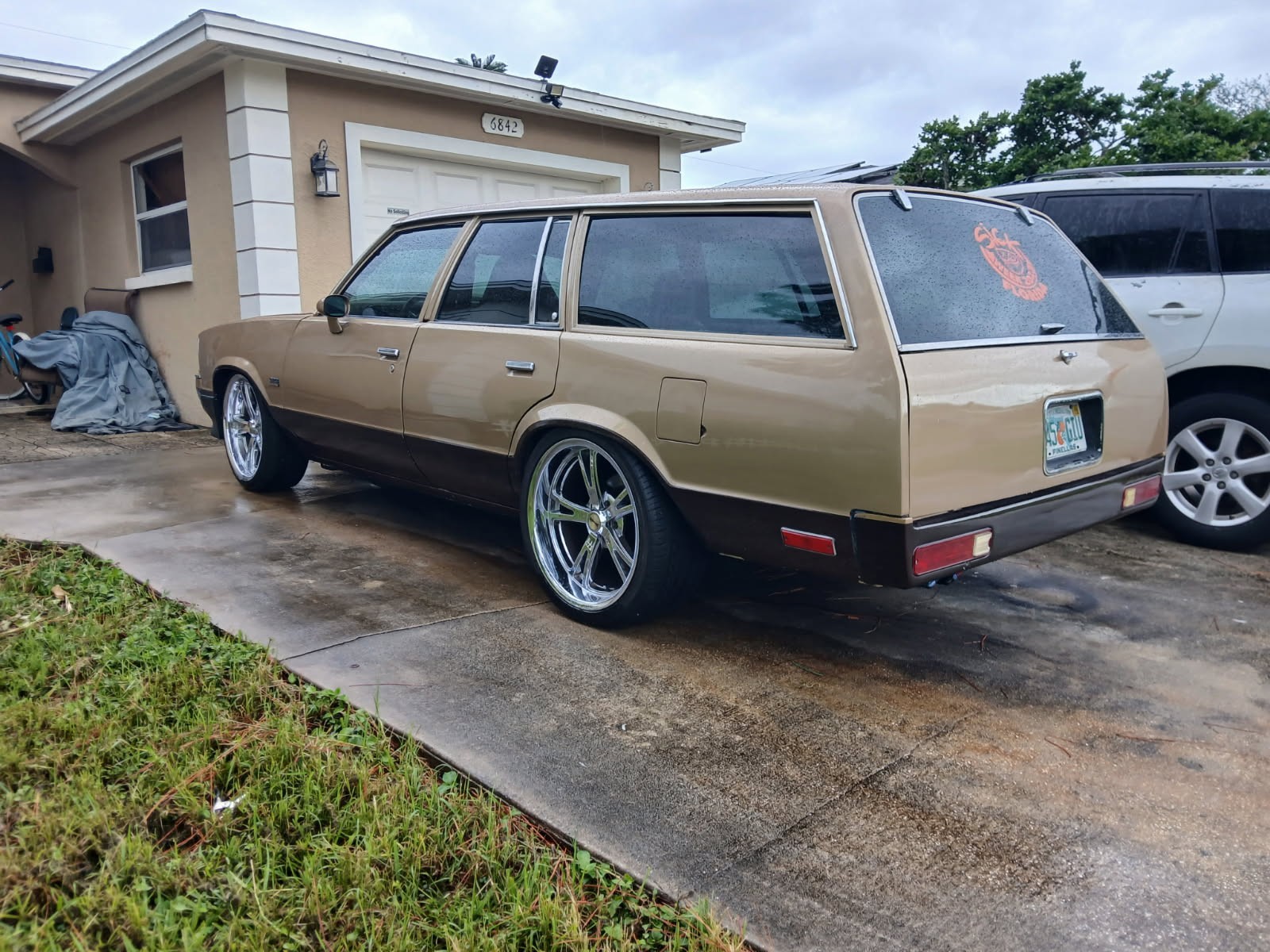 Chevrolet-Malibu-1979-5