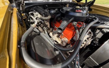 Chevrolet-Monte-Carlo-1971-Coupe-34