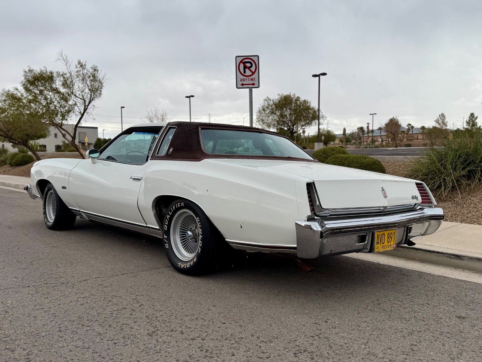 Chevrolet-Monte-Carlo-1973-10