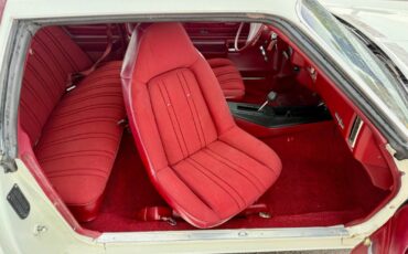 Chevrolet-Monte-Carlo-1973-11