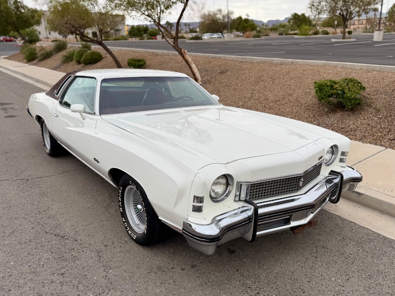 Chevrolet-Monte-Carlo-1973-2