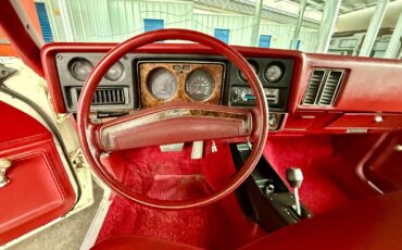 Chevrolet-Monte-Carlo-1973-21