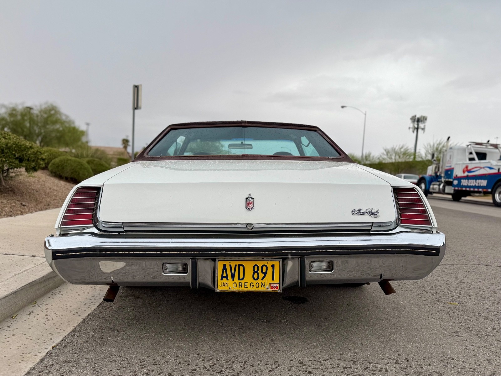 Chevrolet-Monte-Carlo-1973-5