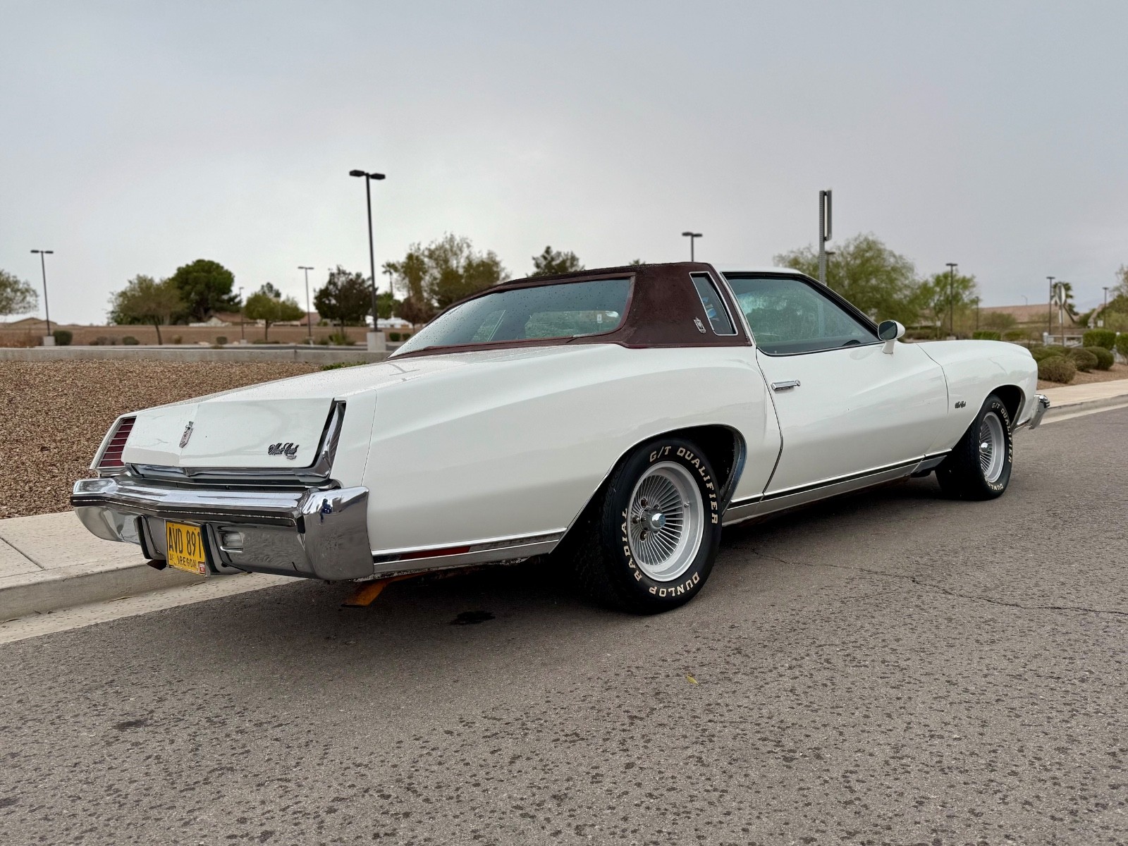 Chevrolet-Monte-Carlo-1973-6