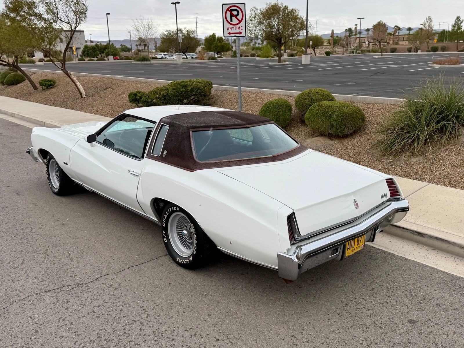 Chevrolet-Monte-Carlo-1973-9