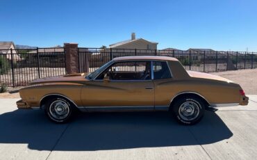 Chevrolet-Monte-Carlo-3.8-1980-1