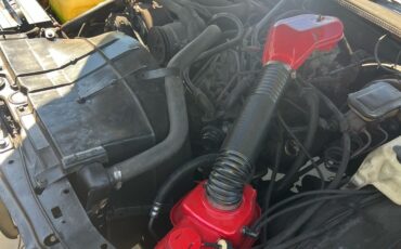 Chevrolet-Monte-Carlo-3.8-1980-14