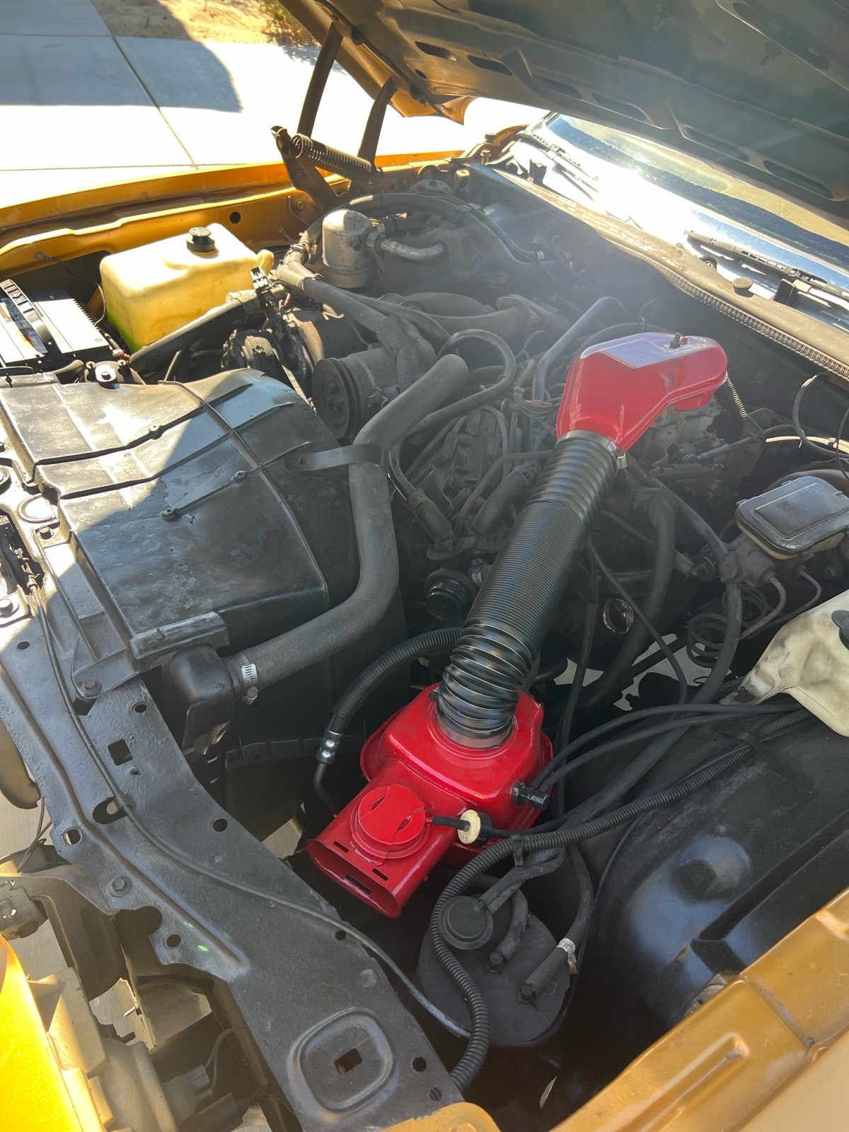 Chevrolet-Monte-Carlo-3.8-1980-14