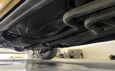 Chevrolet-Monte-Carlo-3.8-1980-15