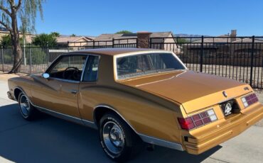 Chevrolet-Monte-Carlo-3.8-1980-2