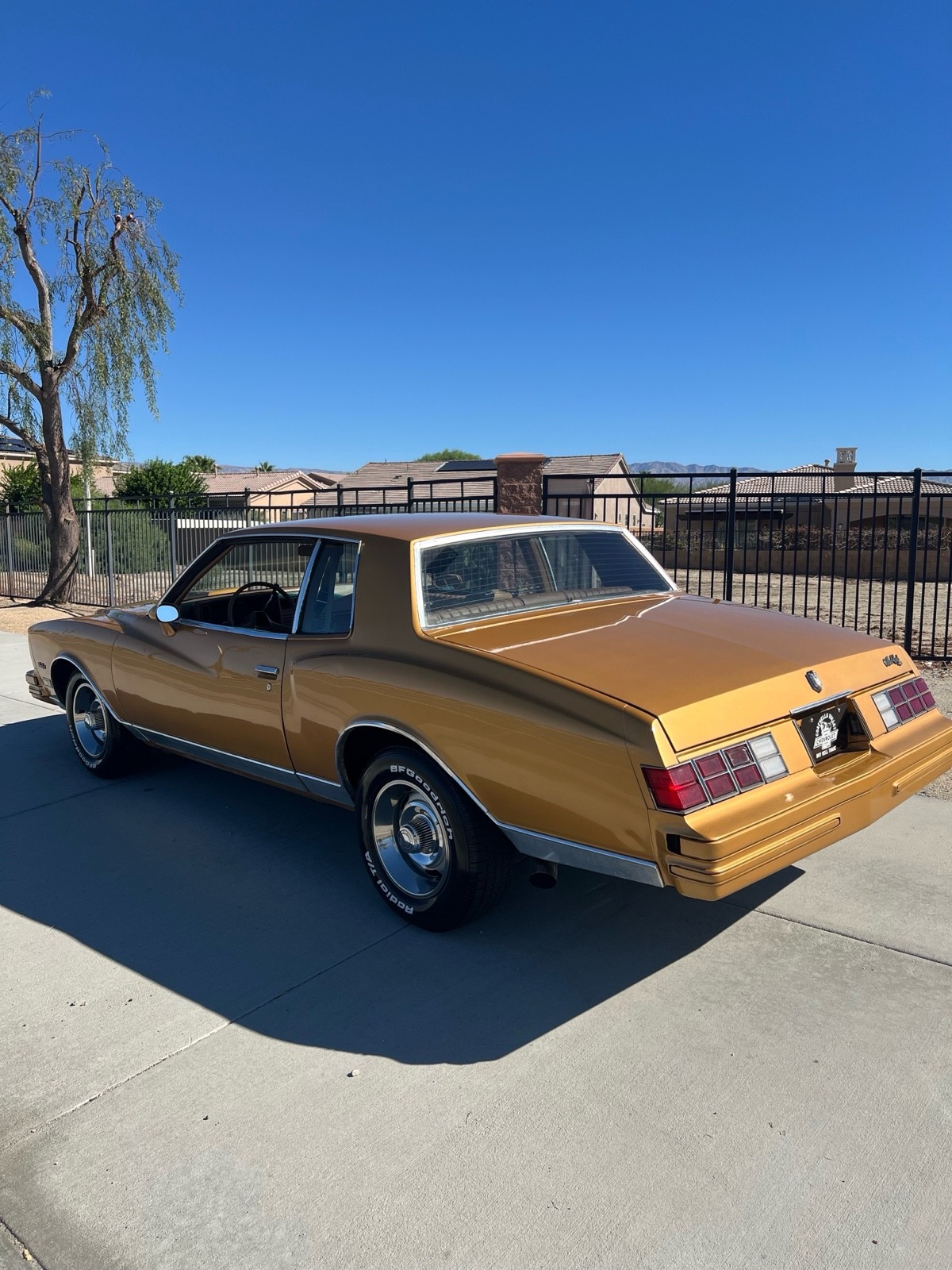 Chevrolet-Monte-Carlo-3.8-1980-2