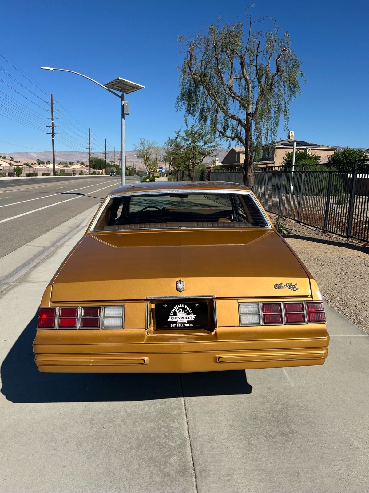 Chevrolet-Monte-Carlo-3.8-1980-3