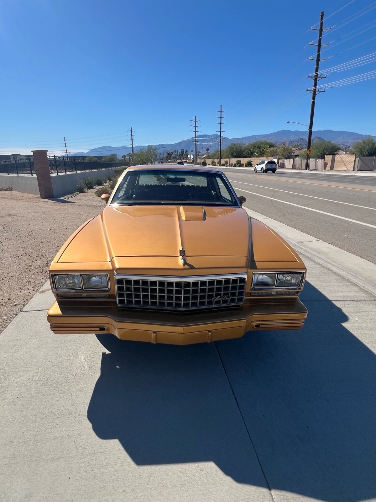 Chevrolet-Monte-Carlo-3.8-1980-7