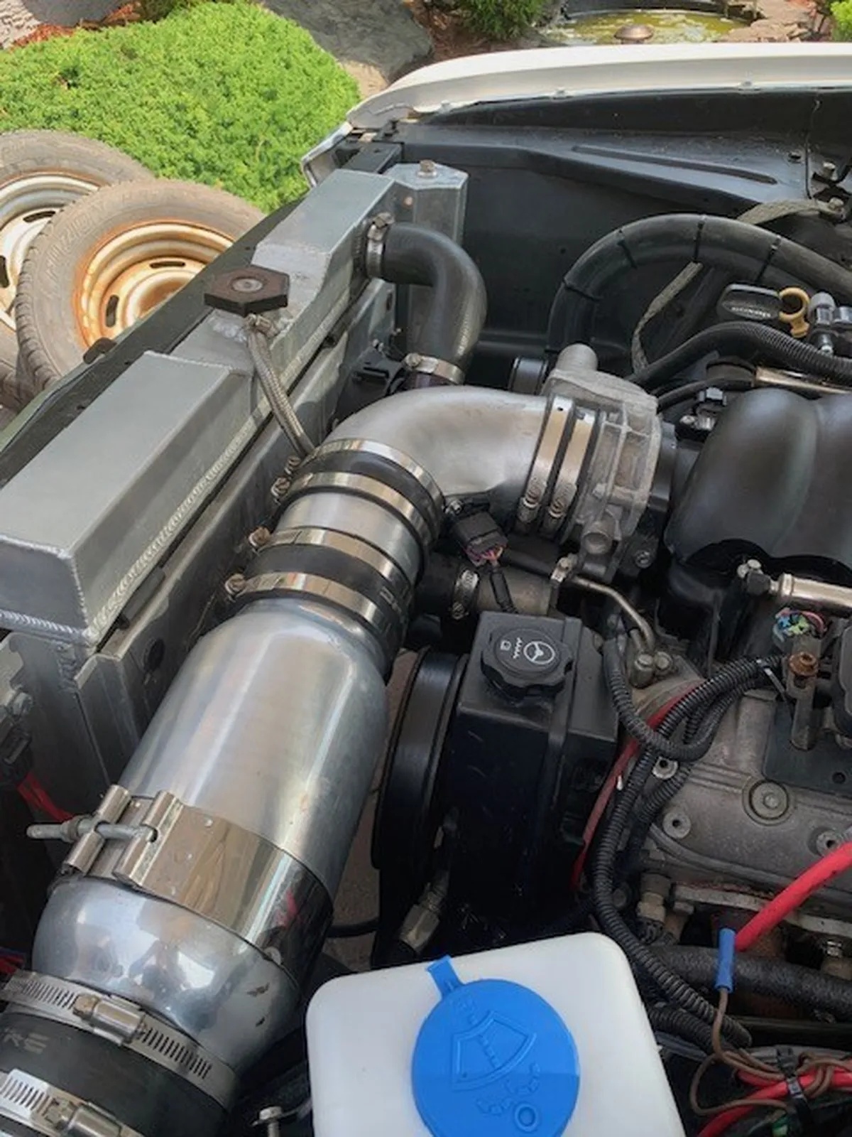 Chevrolet-Nova-1963-White-Black-5