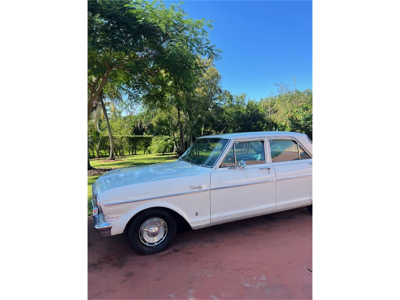 Chevrolet-Nova-1964-Pearl-White-Vintage-Green-1