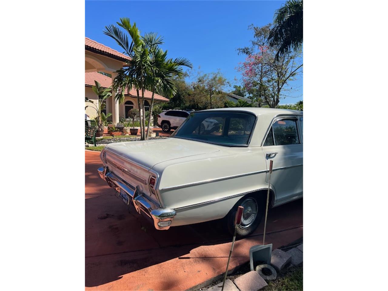 Chevrolet-Nova-1964-Pearl-White-Vintage-Green-14