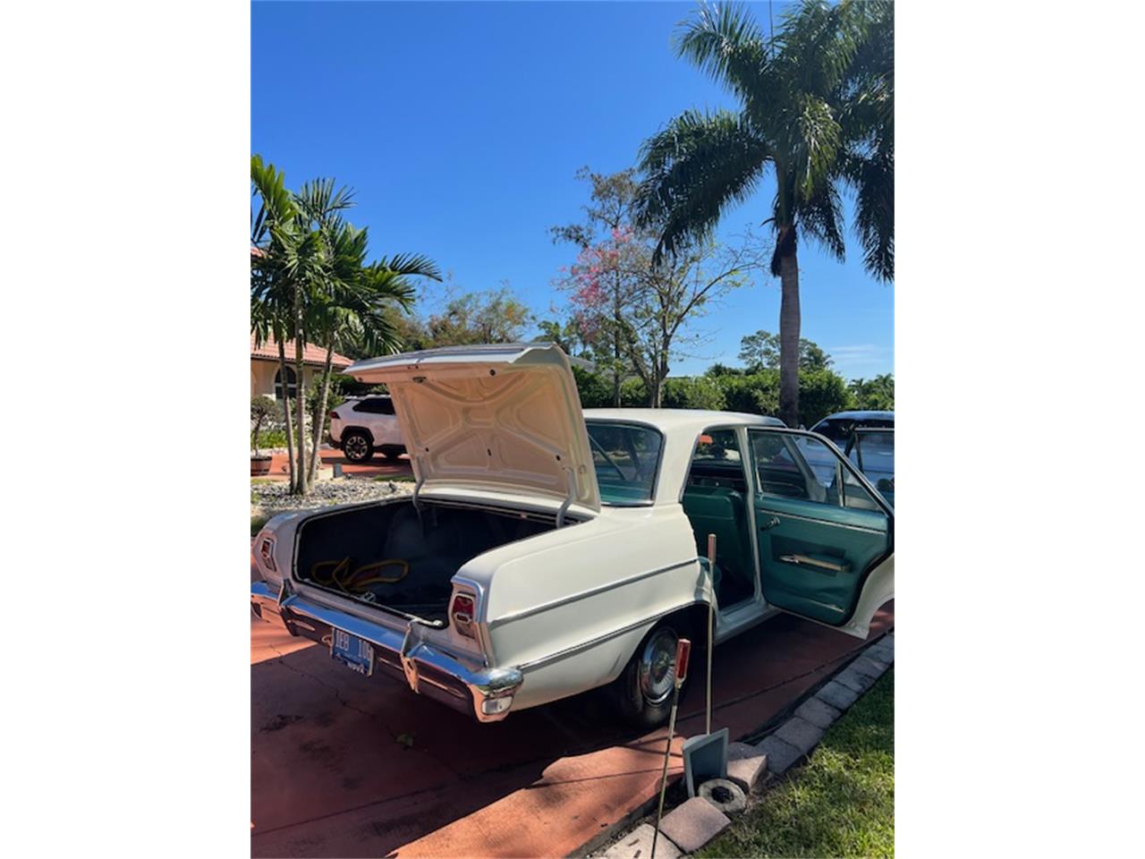 Chevrolet-Nova-1964-Pearl-White-Vintage-Green-19