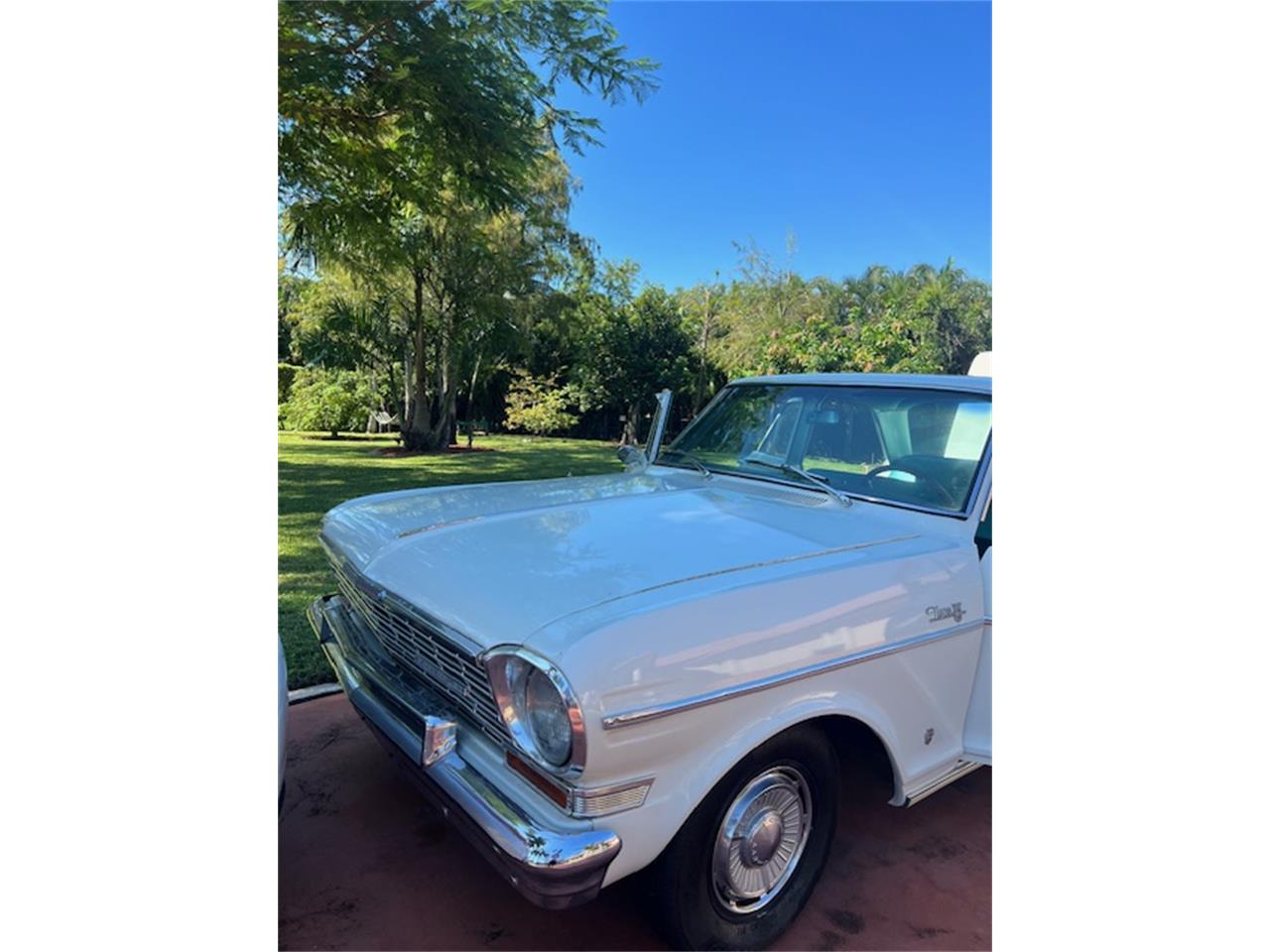 Chevrolet-Nova-1964-Pearl-White-Vintage-Green-2