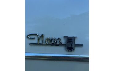 Chevrolet-Nova-1964-Pearl-White-Vintage-Green-25