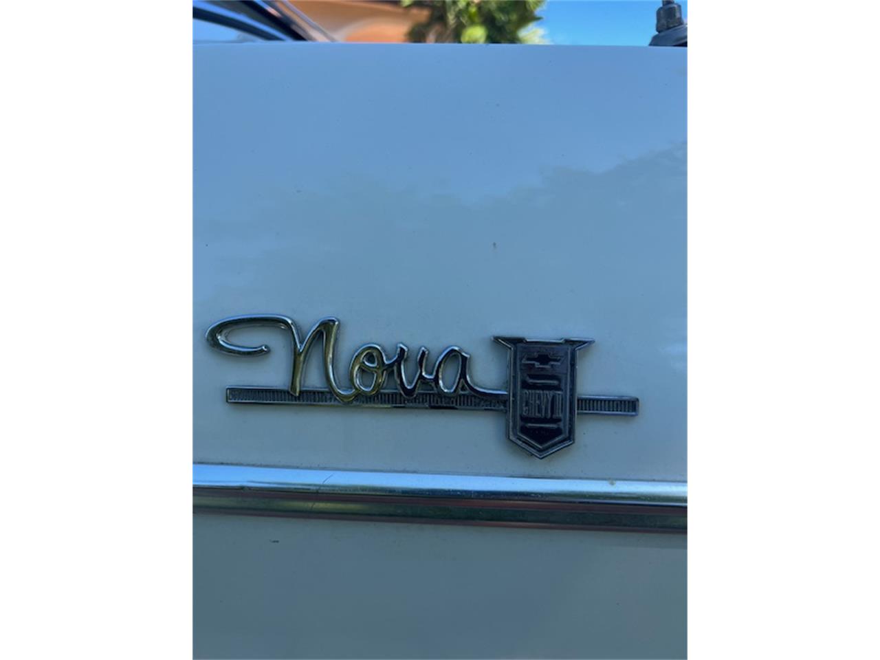 Chevrolet-Nova-1964-Pearl-White-Vintage-Green-25