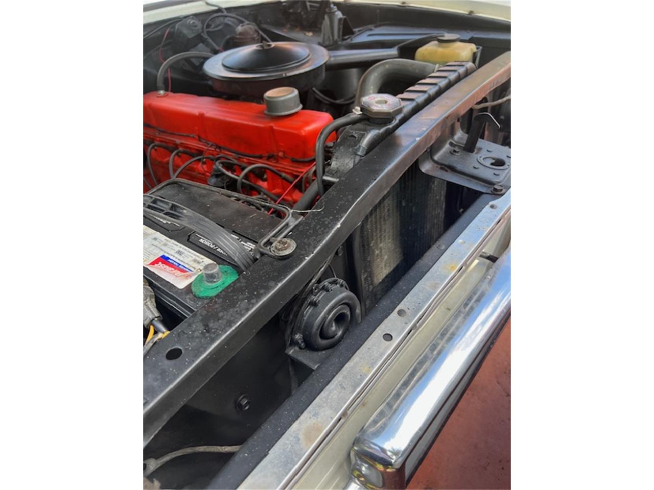 Chevrolet-Nova-1964-Pearl-White-Vintage-Green-49