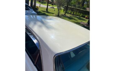 Chevrolet-Nova-1964-Pearl-White-Vintage-Green-5