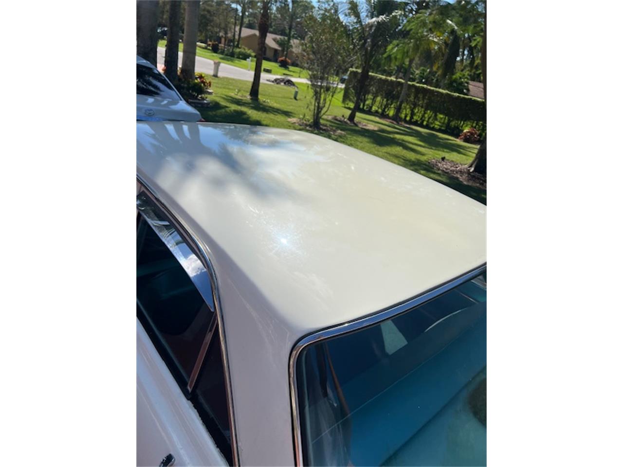 Chevrolet-Nova-1964-Pearl-White-Vintage-Green-5