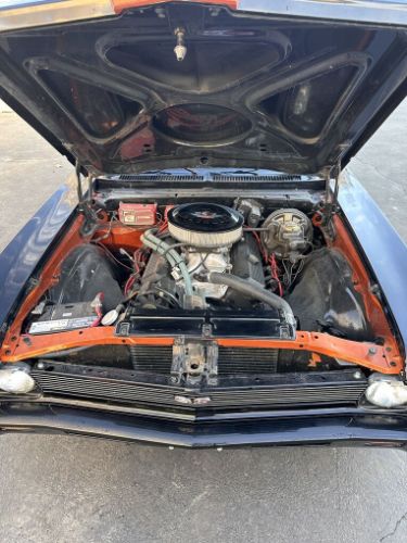 Chevrolet-Nova-1969-2