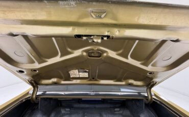 Chevrolet-Nova-1970-Autumn-Gold-Black-38