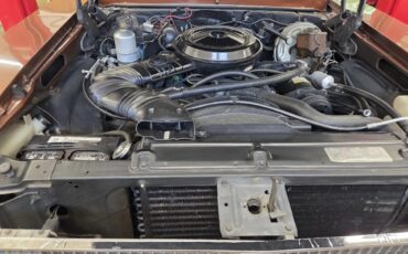 Chevrolet-Nova-1978-Brown-Tan-10