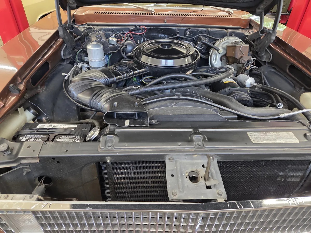 Chevrolet-Nova-1978-Brown-Tan-10