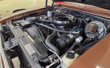 Chevrolet-Nova-1978-Brown-Tan-11