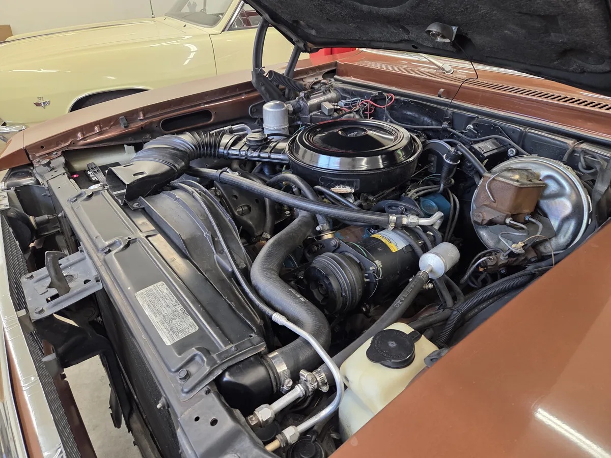 Chevrolet-Nova-1978-Brown-Tan-11