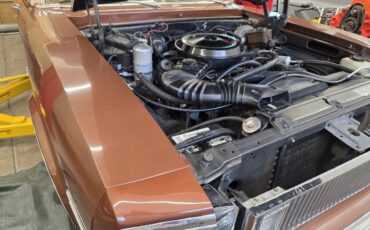 Chevrolet-Nova-1978-Brown-Tan-12