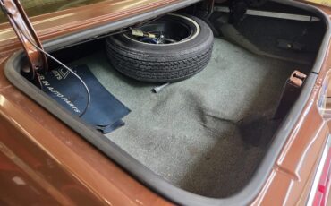 Chevrolet-Nova-1978-Brown-Tan-13