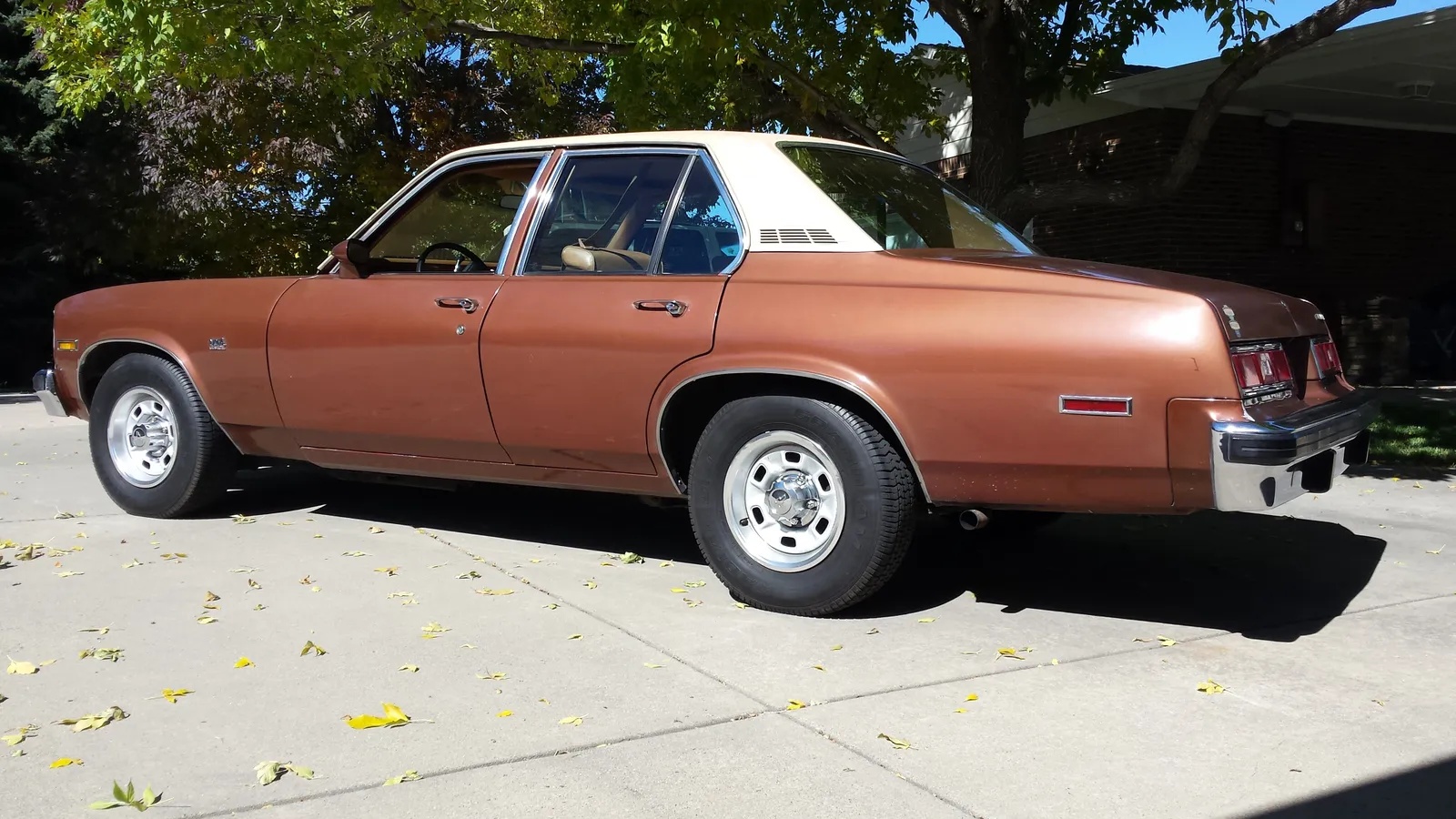 Chevrolet-Nova-1978-Brown-Tan-2