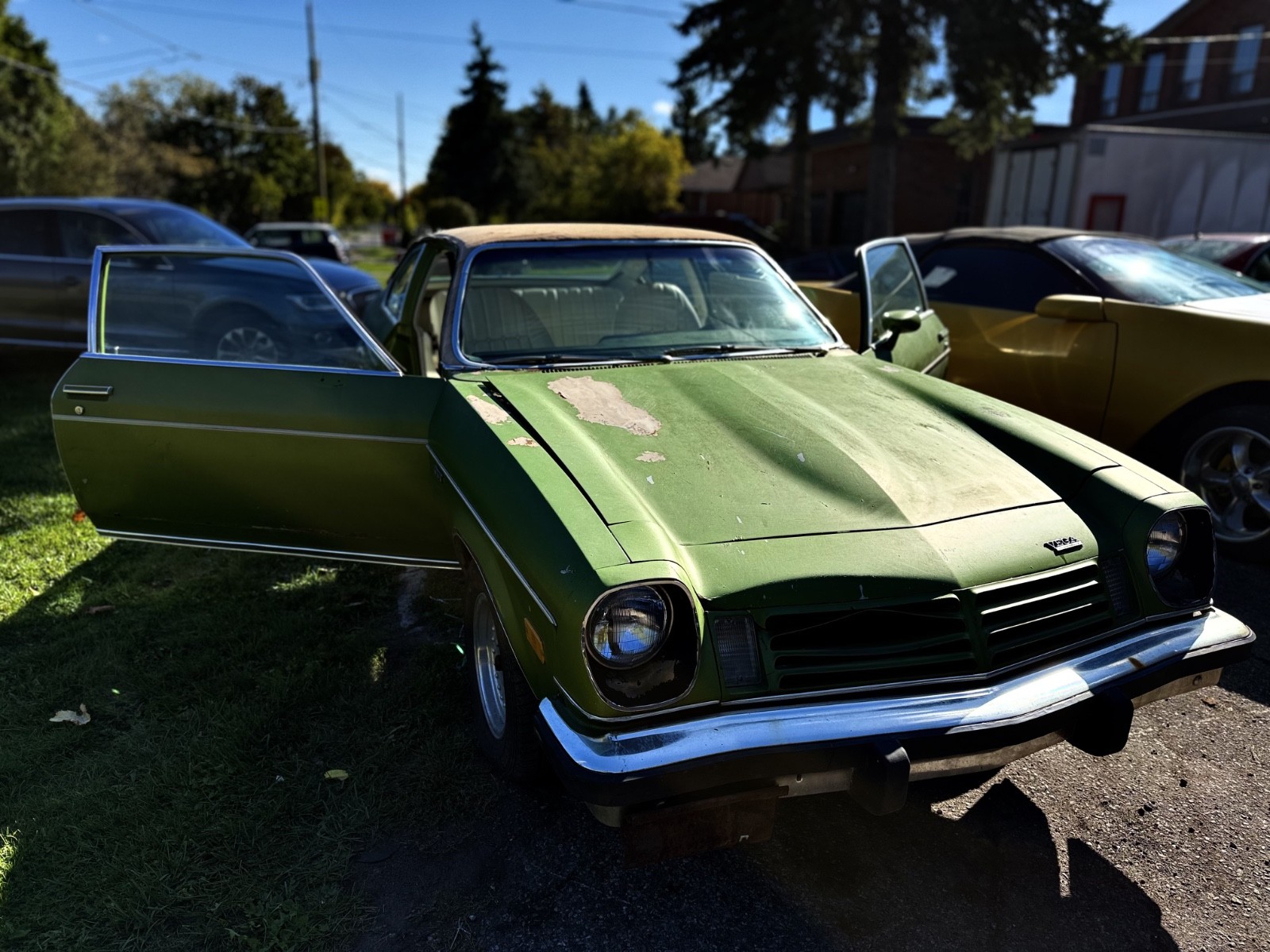 Chevrolet-Other-1975-12
