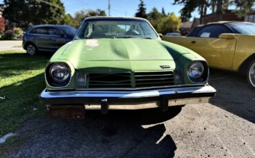 Chevrolet-Other-1975-3
