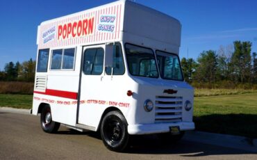 Chevrolet-Other-Pickups-1966-Food-Truck-11