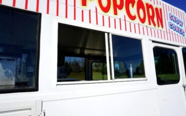 Chevrolet-Other-Pickups-1966-Food-Truck-29