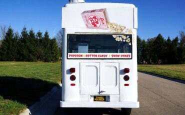 Chevrolet-Other-Pickups-1966-Food-Truck-6