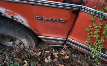Chevrolet-Other-Pickups-1967
